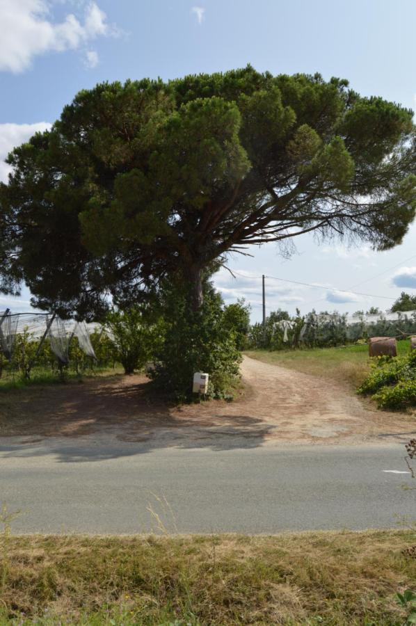 Gite Rural De Caractere Guérin Exteriér fotografie
